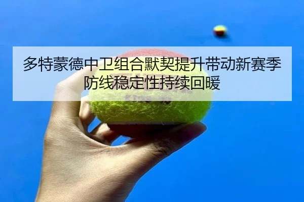 多特蒙德中卫组合默契提升带动新赛季防线稳定性持续回暖